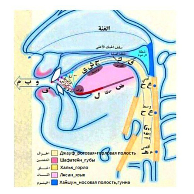 Сыфаты арабских букв таблица Shtampik.com