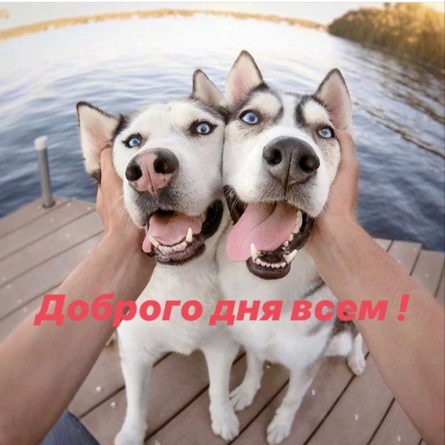 Аватар канала 1568595812