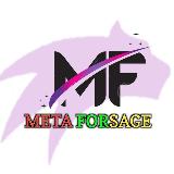 Аватарка канала "♔ META FORSAGE ♔"