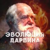 Аватарка канала "Эволюция Дарвина"