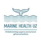 Marine health group маркетинг план