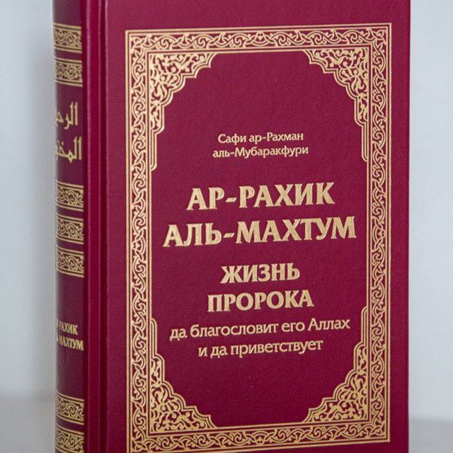 Книга картинки из жизни табиинов