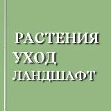 Аватар канала 1520550436