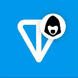 Аватарка канала "Toncoin 🇮🇩"