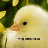 Аватар канала 1649320887